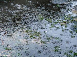 外構リフォームで雨水排水対策は必要？水はけ改善工事の種類と費用を解説